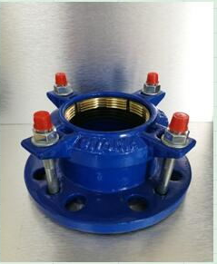 HDPE Pipe Flange Adapter