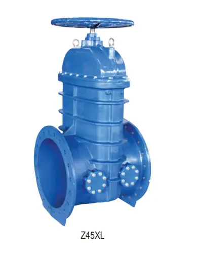 BS 5163 Flanged Resilient NRS Gate Valve with Bypass Outlet